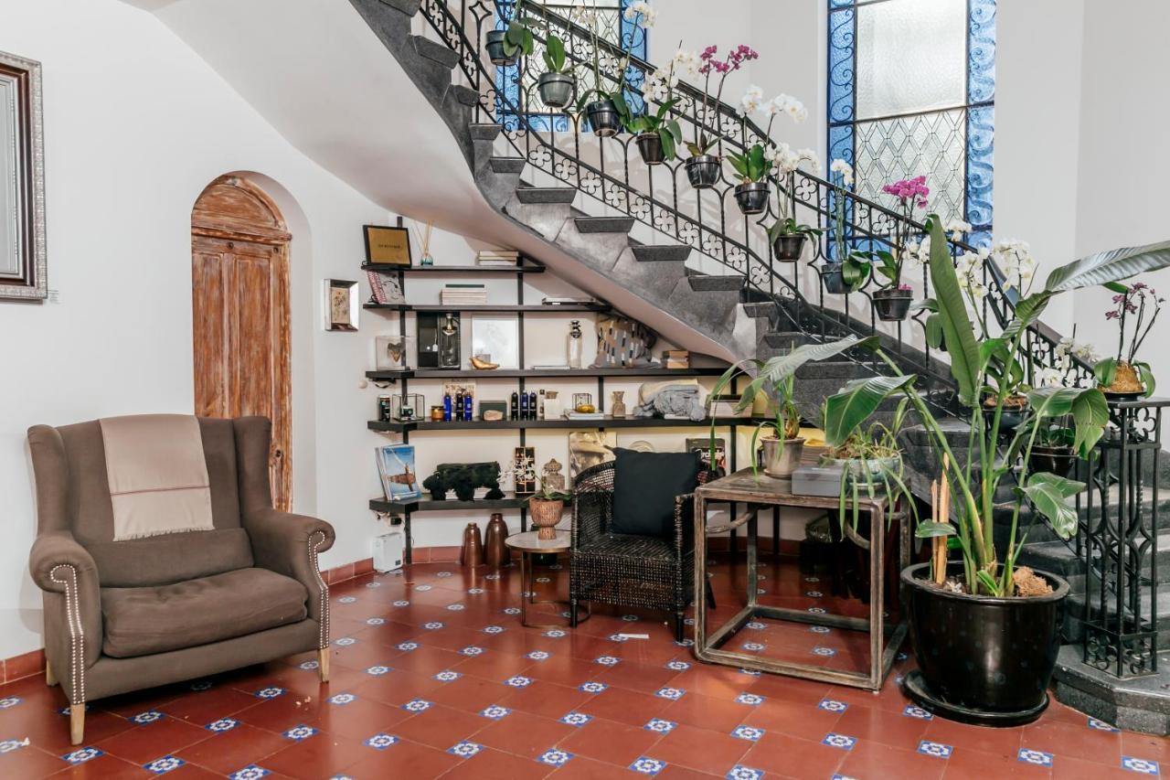 墨西哥城 Orchid House Polanco酒店 外观 照片
