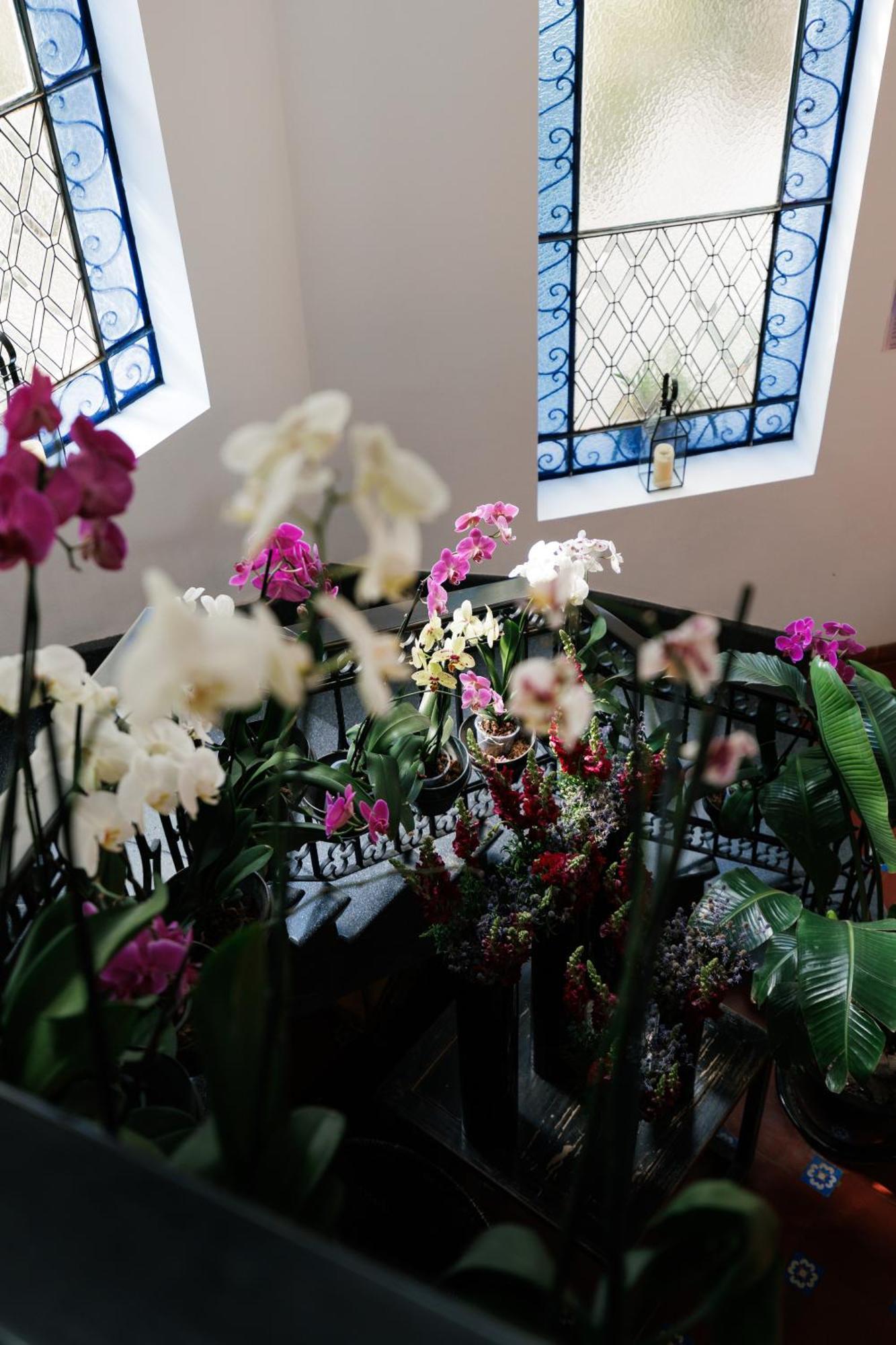 墨西哥城 Orchid House Polanco酒店 外观 照片