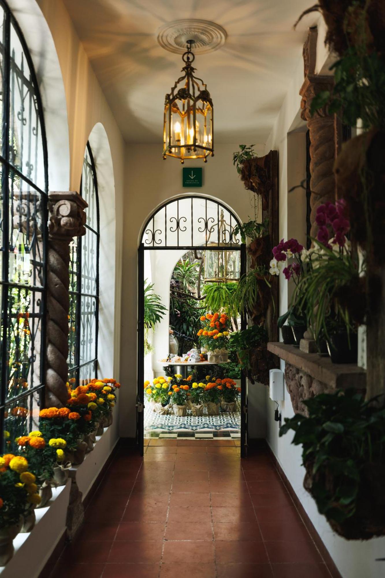 墨西哥城 Orchid House Polanco酒店 外观 照片