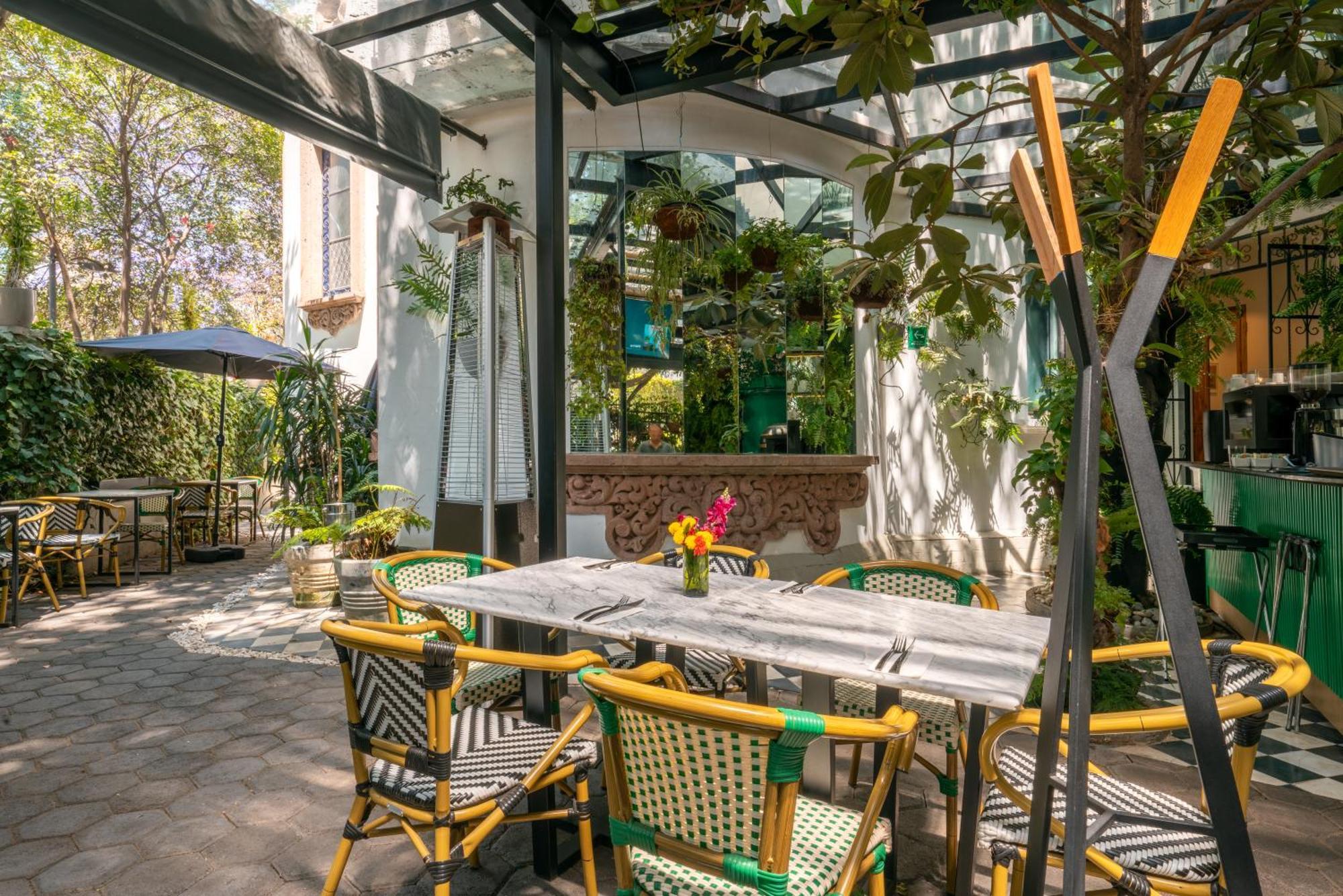 墨西哥城 Orchid House Polanco酒店 外观 照片