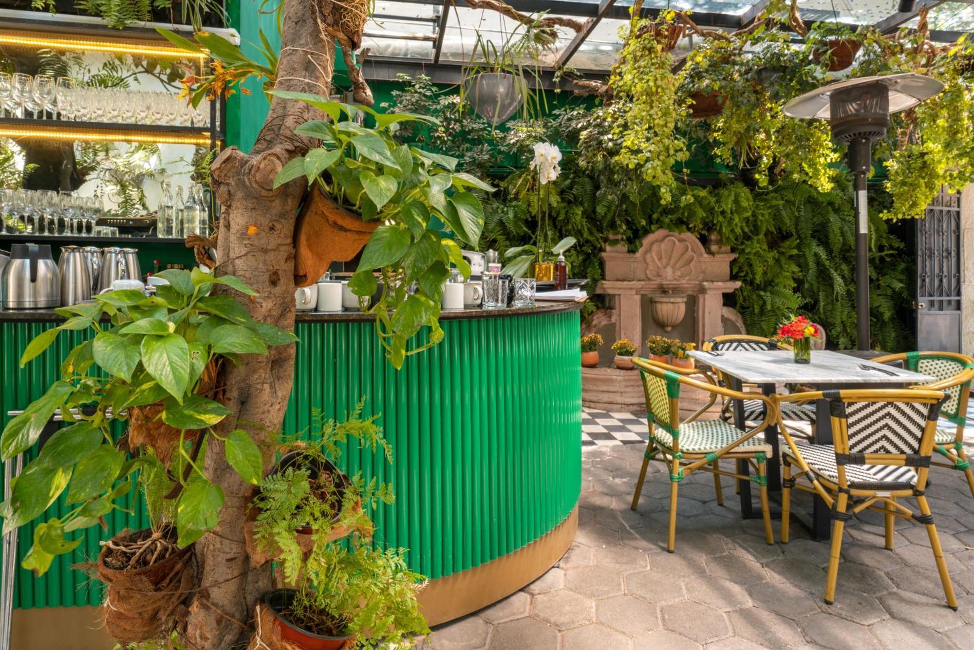 墨西哥城 Orchid House Polanco酒店 外观 照片